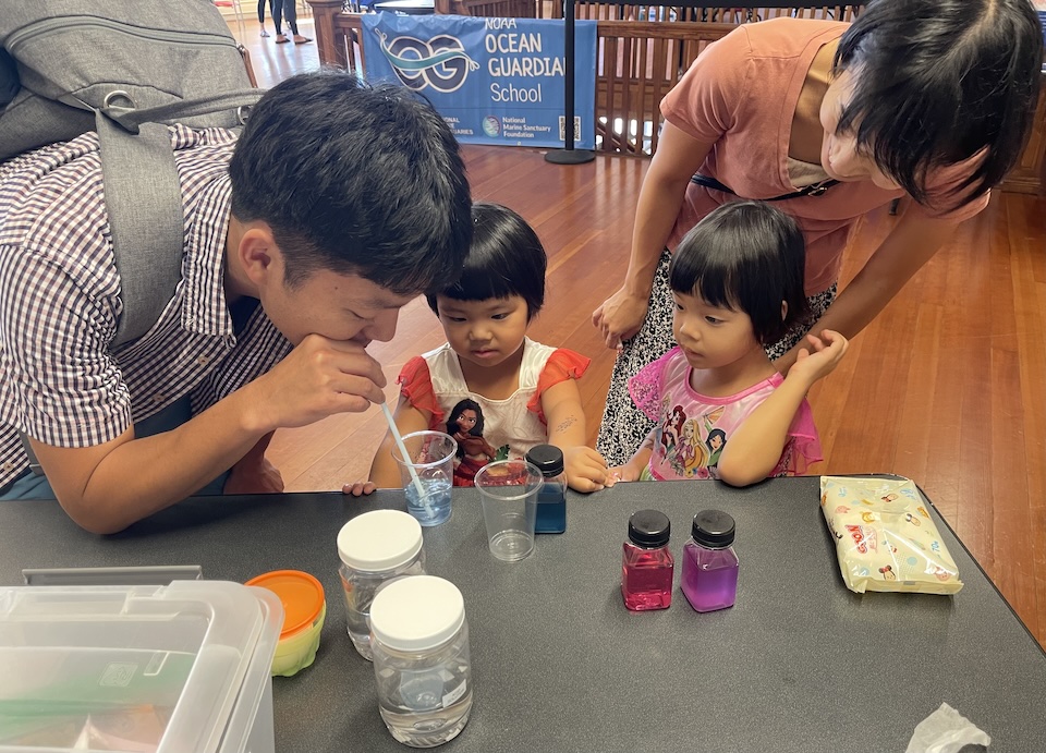 pH Indicator Color Test